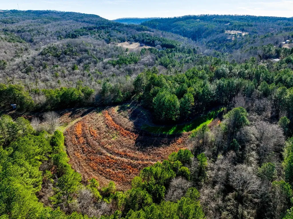 51+/- Acres County Road 33 Oneonta AL 35121