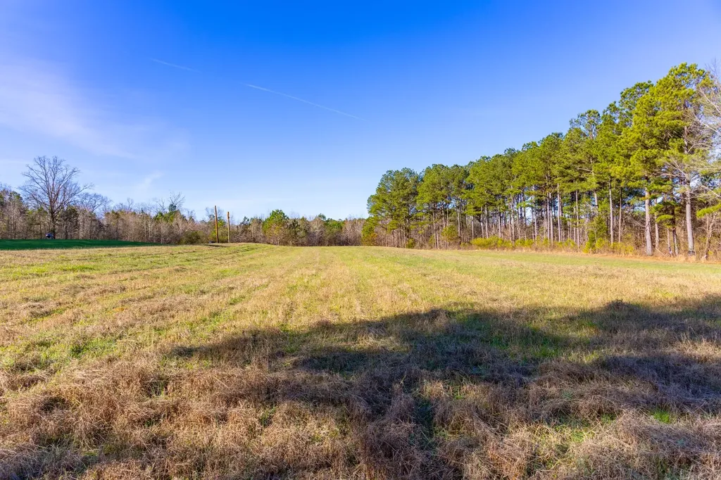 51+/- Acres County Road 33 Oneonta AL 35121