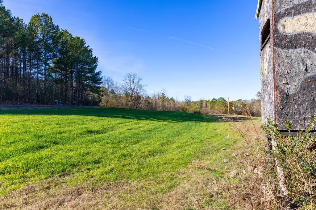 51+/- Acres County Road 33 Oneonta AL 35121