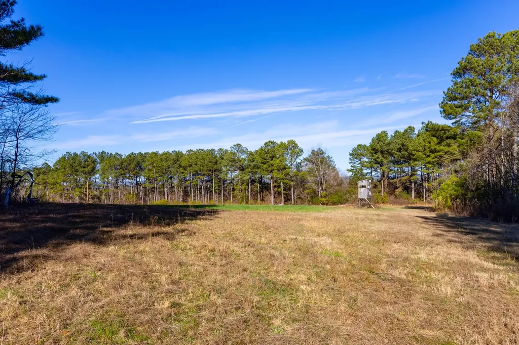 51+/- Acres County Road 33 Oneonta AL 35121