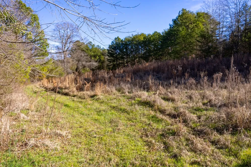 51+/- Acres County Road 33 Oneonta AL 35121