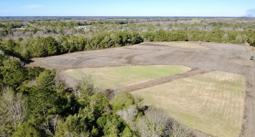 0 County Road 17 Headland AL 36345