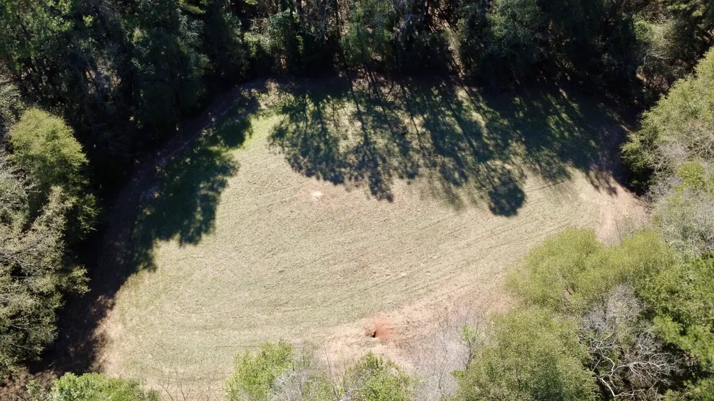 0 County Road 17 Headland AL 36345