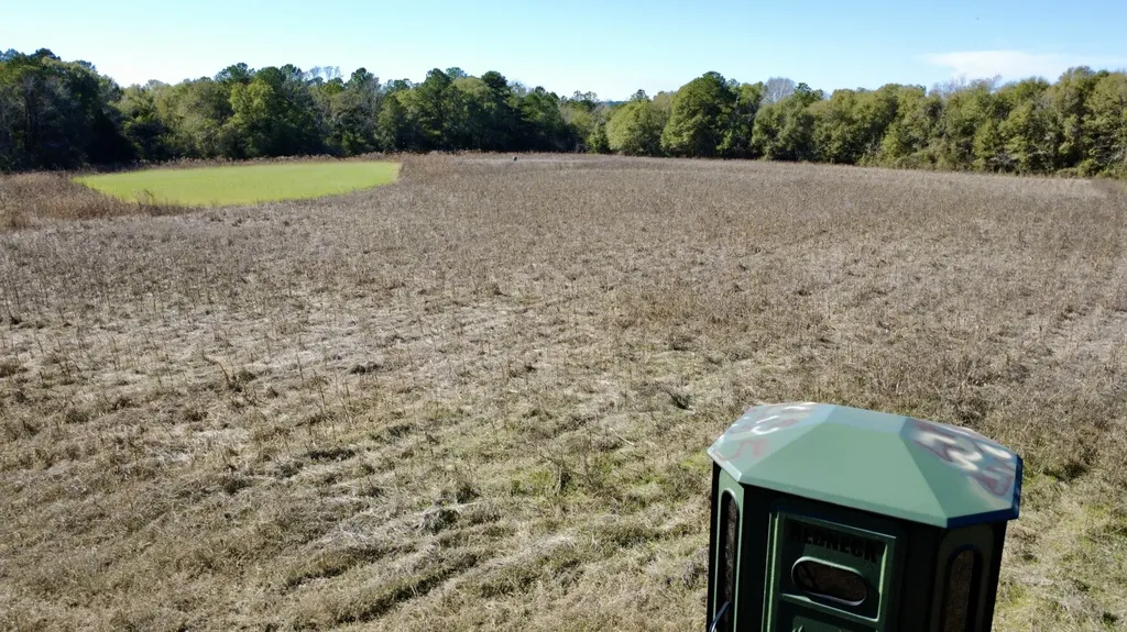 0 County Road 17 Headland AL 36345