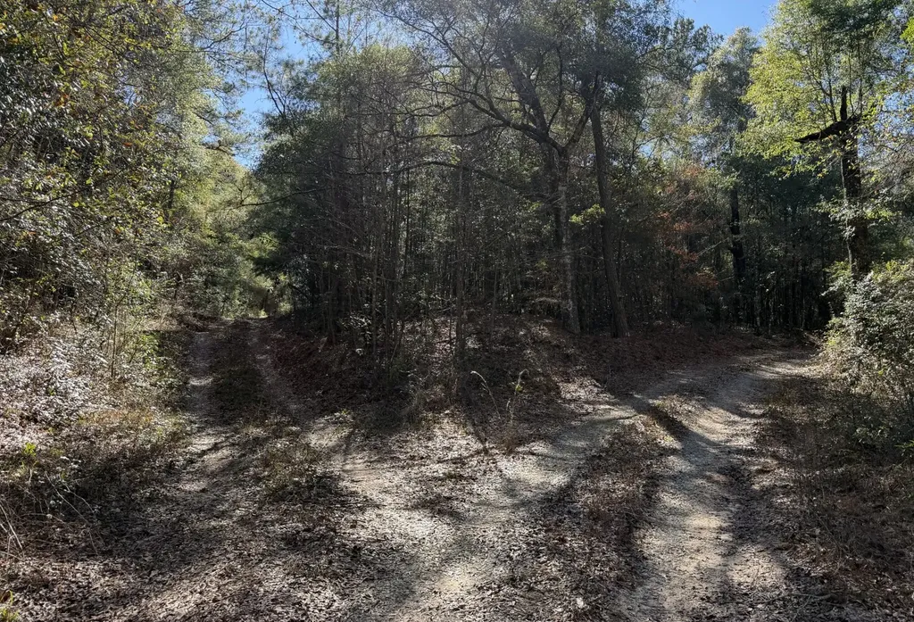 0 County Road 17 Headland AL 36345