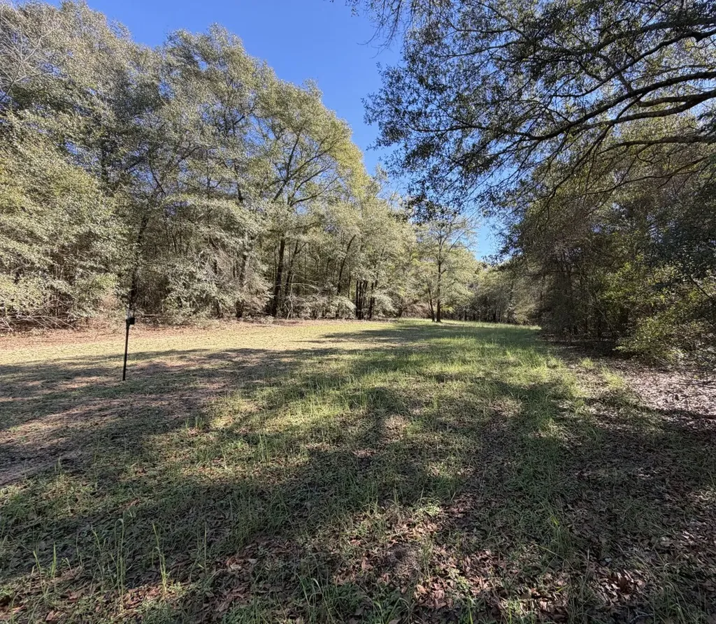 0 County Road 17 Headland AL 36345