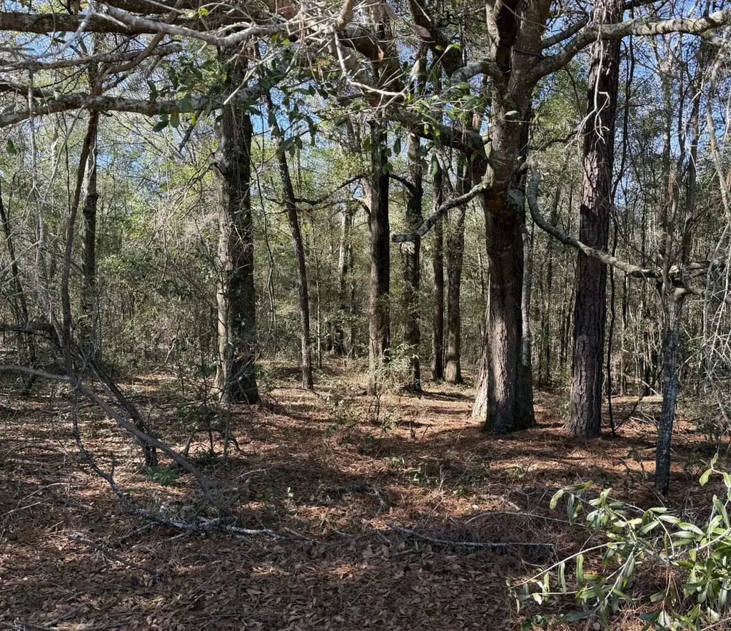 0 County Road 17 Headland AL 36345
