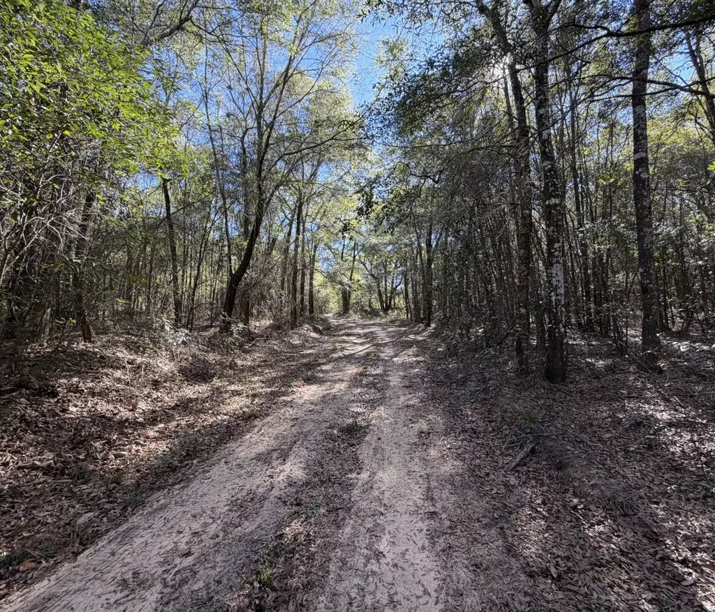 0 County Road 17 Headland AL 36345