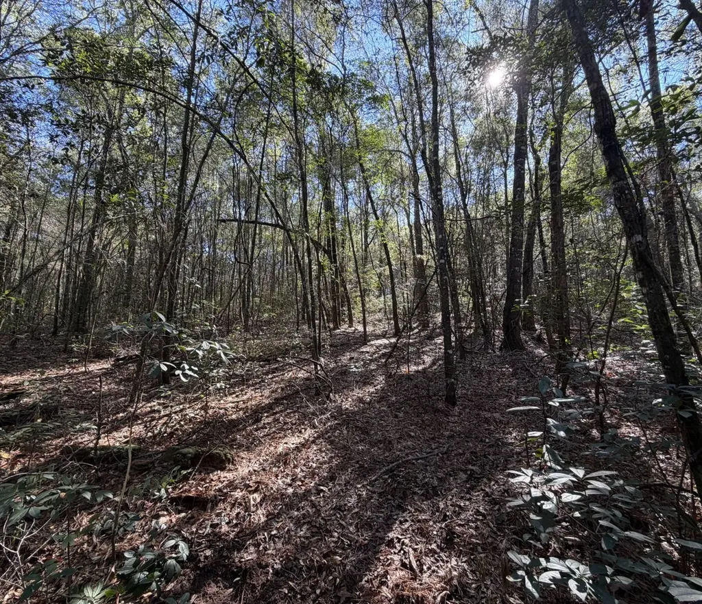 0 County Road 17 Headland AL 36345
