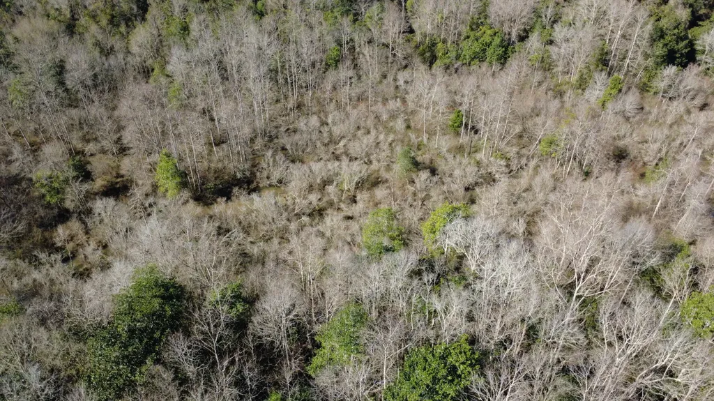 0 County Road 17 Headland AL 36345