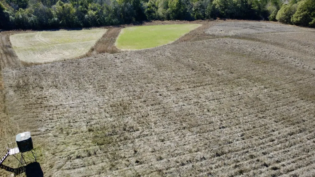 0 County Road 17 Headland AL 36345