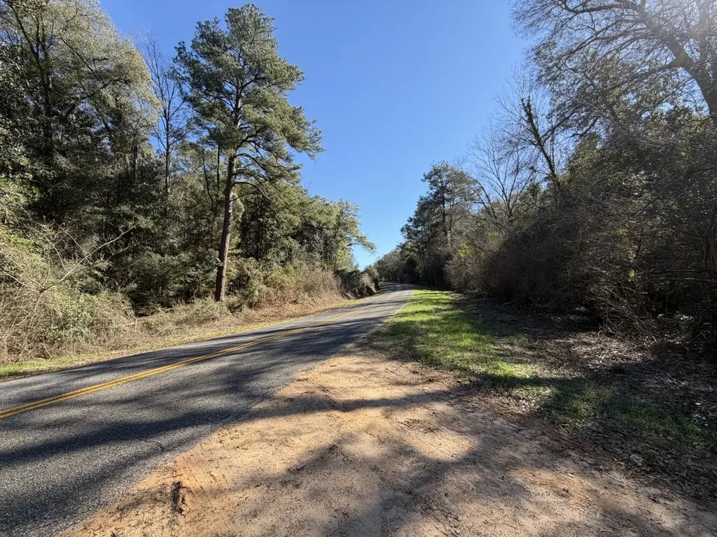 0 County Road 17 Headland AL 36345