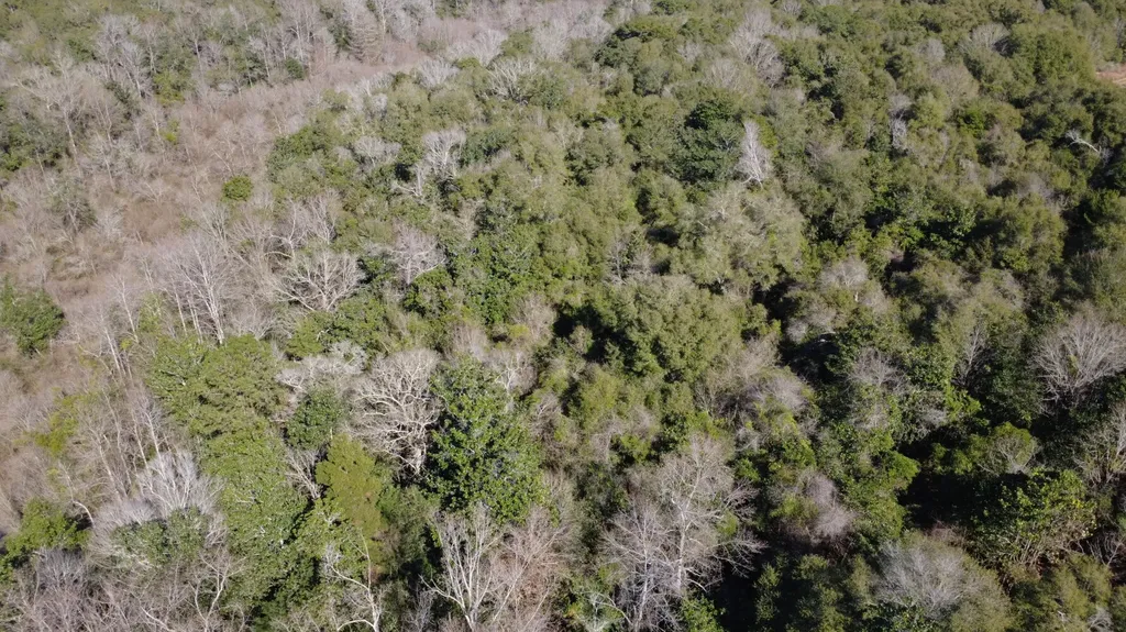 0 County Road 17 Headland AL 36345
