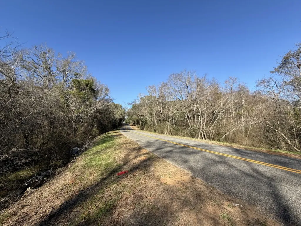 0 County Road 17 Headland AL 36345