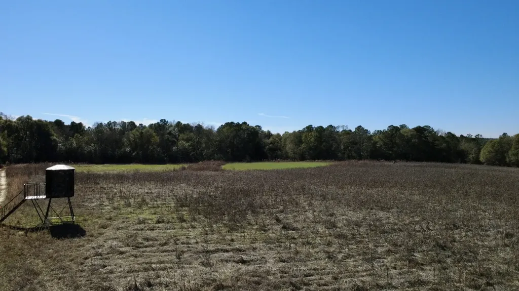 0 County Road 17 Headland AL 36345