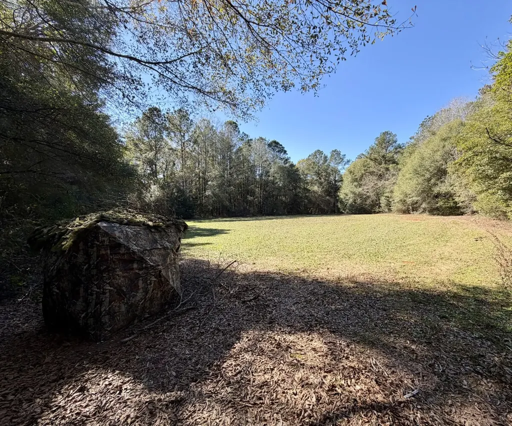 0 County Road 17 Headland AL 36345