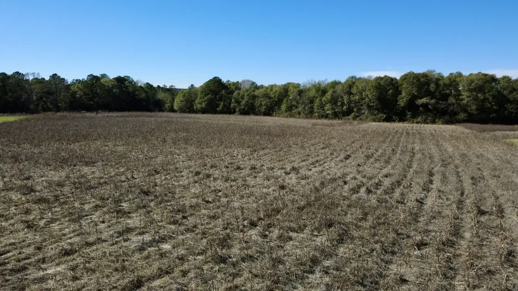 0 County Road 17 Headland AL 36345