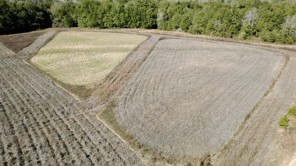 0 County Road 17 Headland AL 36345