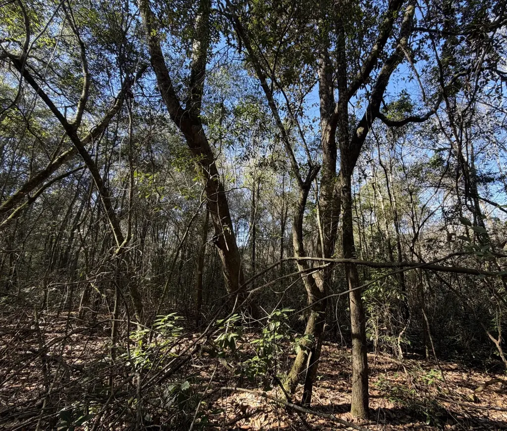 0 County Road 17 Headland AL 36345