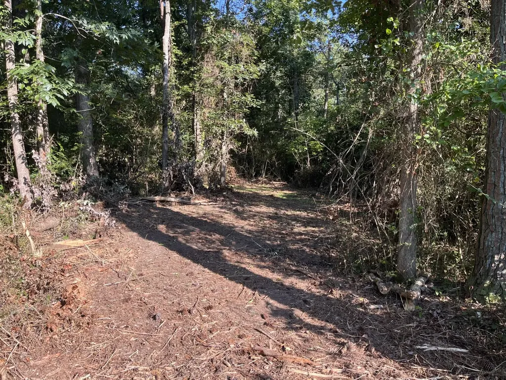 0 Scenic Drive Section AL 35771