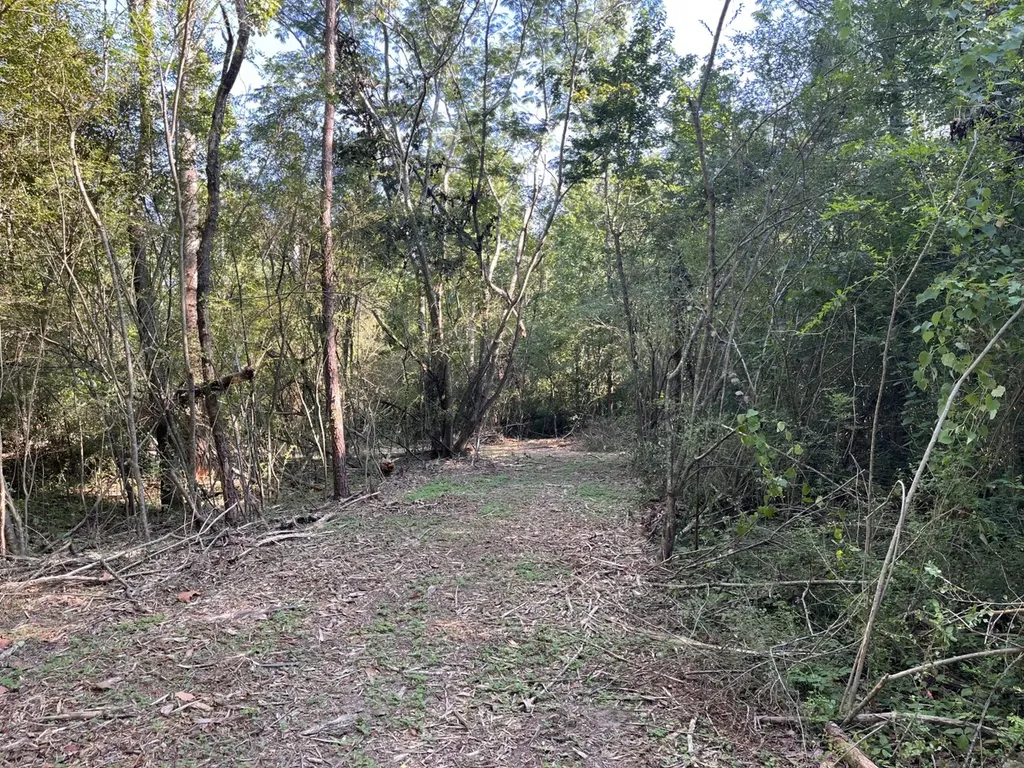 0 Scenic Drive Section AL 35771