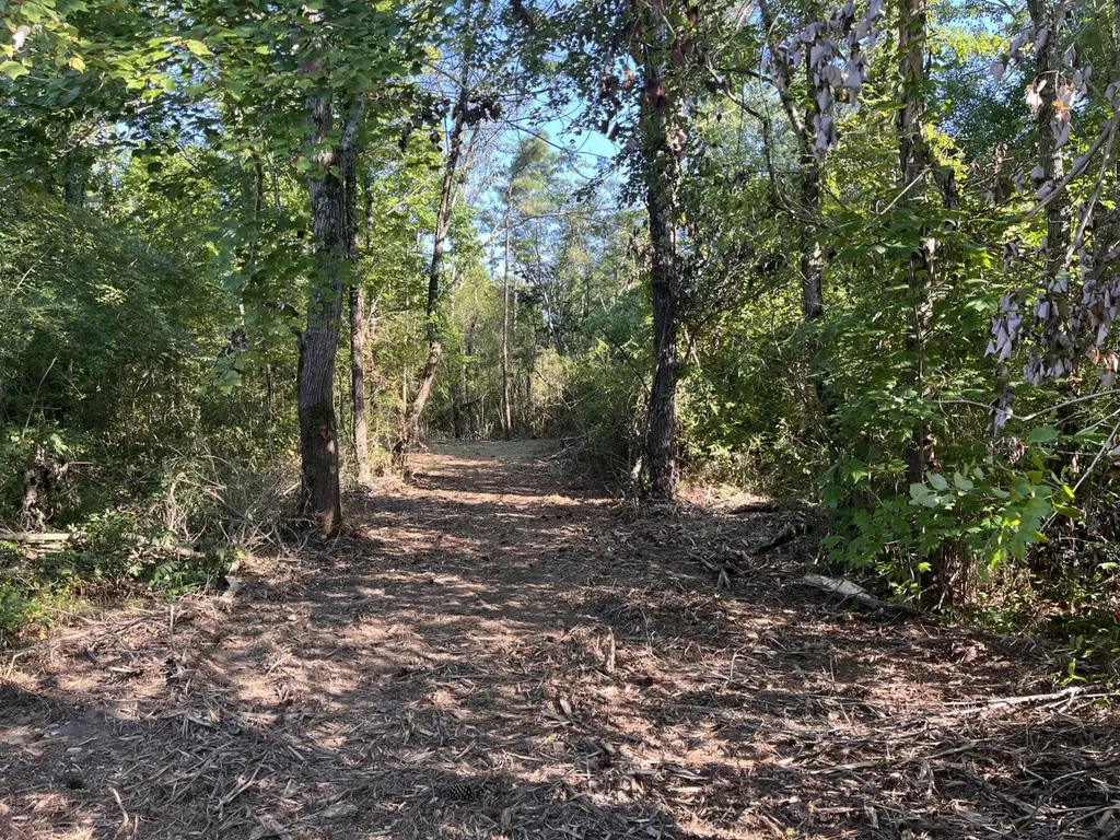 0 Scenic Drive Section AL 35771