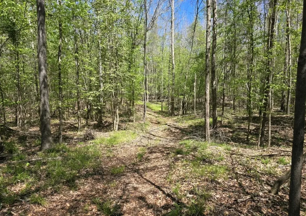 0 Us Highway 82 Maplesville AL 36750