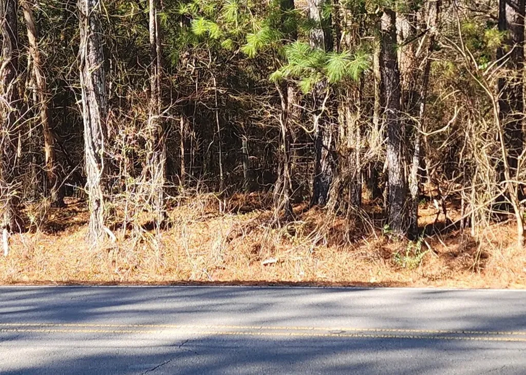 0 South Sauty Road County Road 227 Guntersville AL 35755