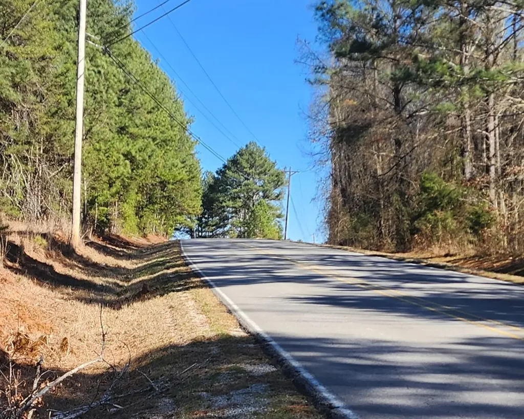 0 South Sauty Road County Road Guntersville AL 35755