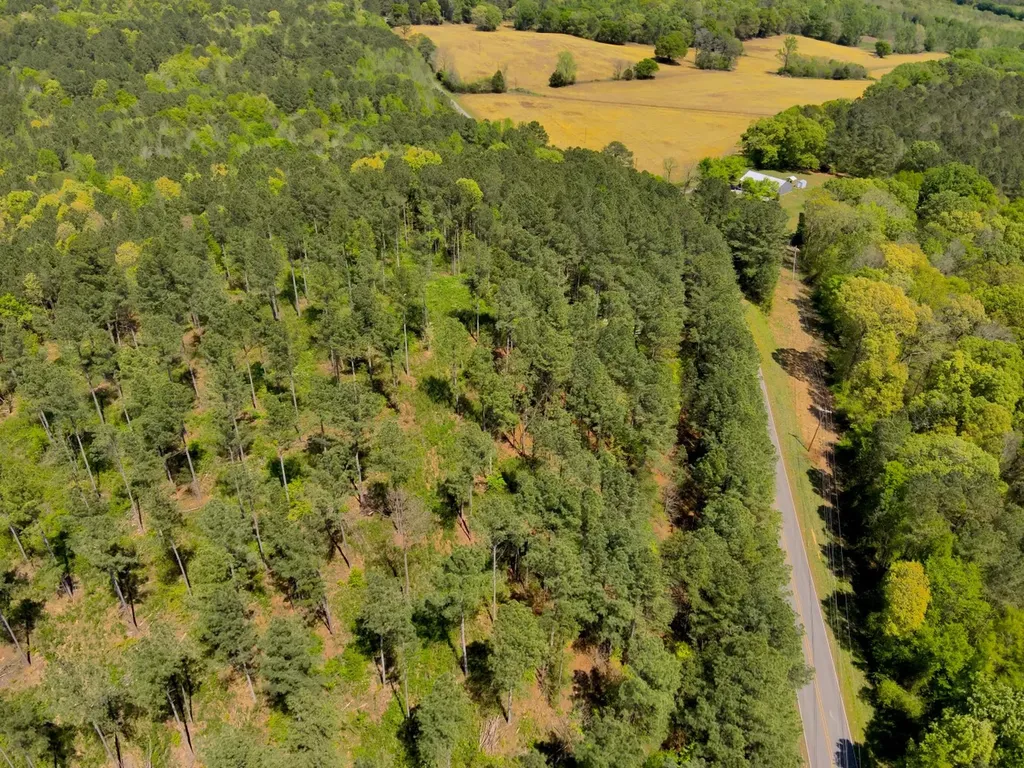 0 South Sauty Road County Road Guntersville AL 35755