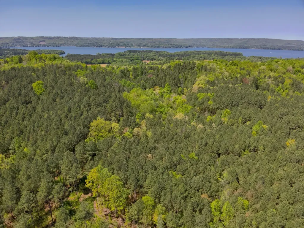 0 South Sauty Road County Road Guntersville AL 35755