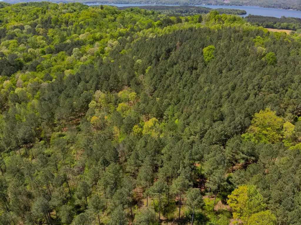 0 South Sauty Road County Road Guntersville AL 35755