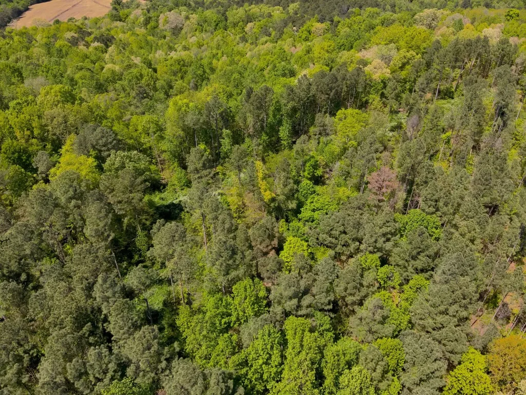 0 South Sauty Road County Road Guntersville AL 35755