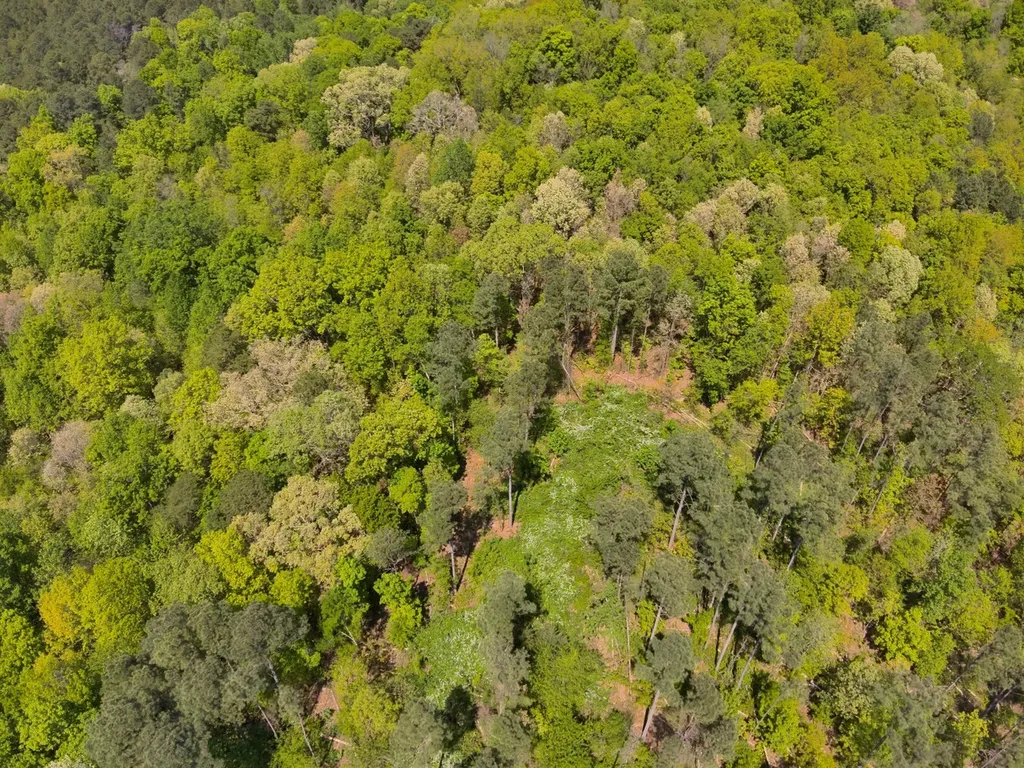 0 South Sauty Road County Road Guntersville AL 35755