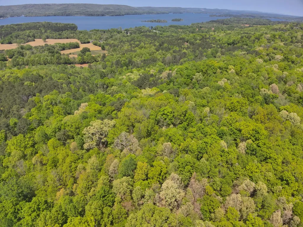 0 South Sauty Road County Road Guntersville AL 35755