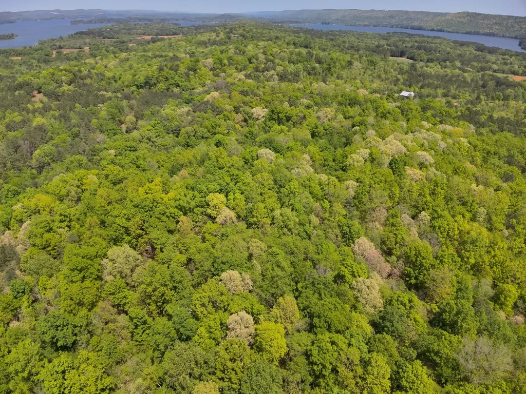0 South Sauty Road County Road Guntersville AL 35755