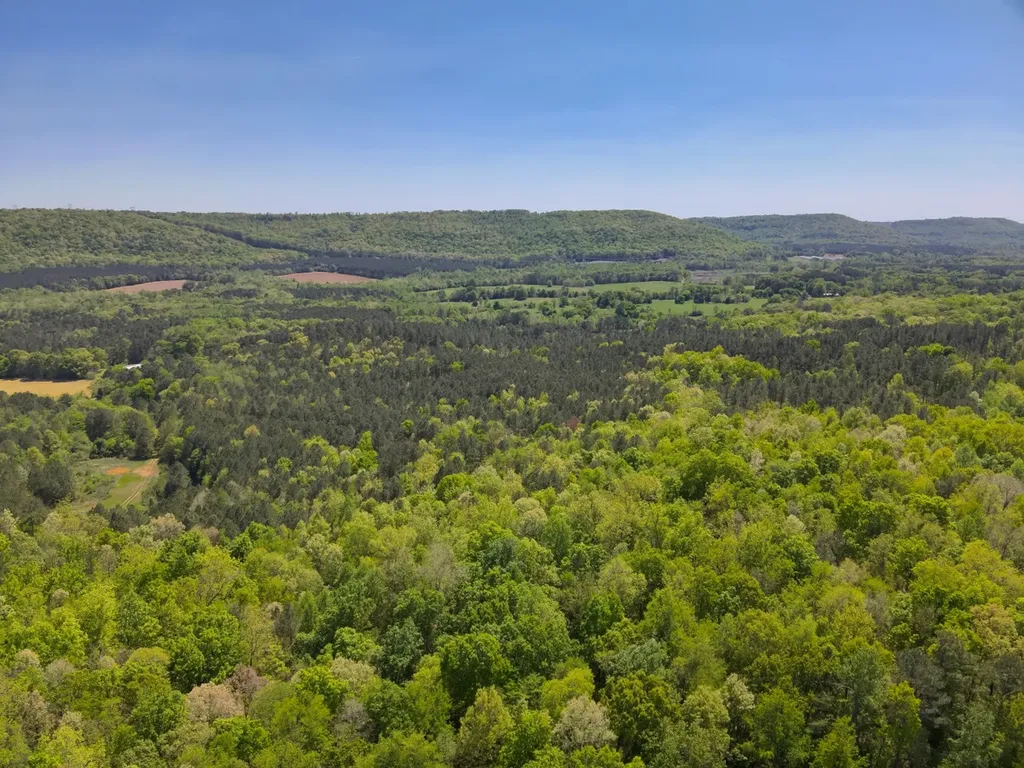 0 South Sauty Road County Road Guntersville AL 35755