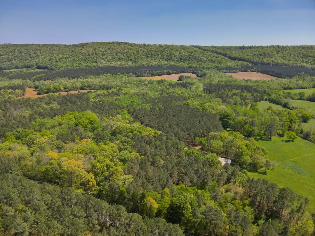 0 South Sauty Road County Road Guntersville AL 35755