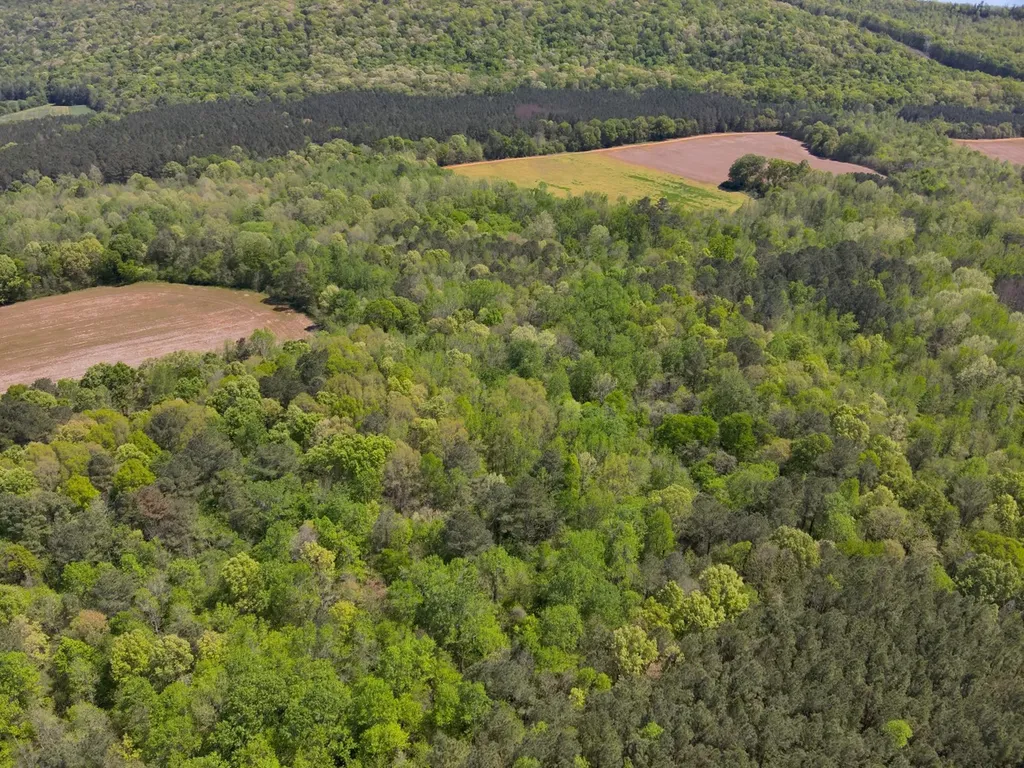 0 South Sauty Road County Road Guntersville AL 35755