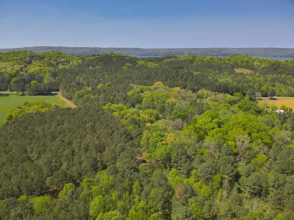 0 South Sauty Road County Road Guntersville AL 35755