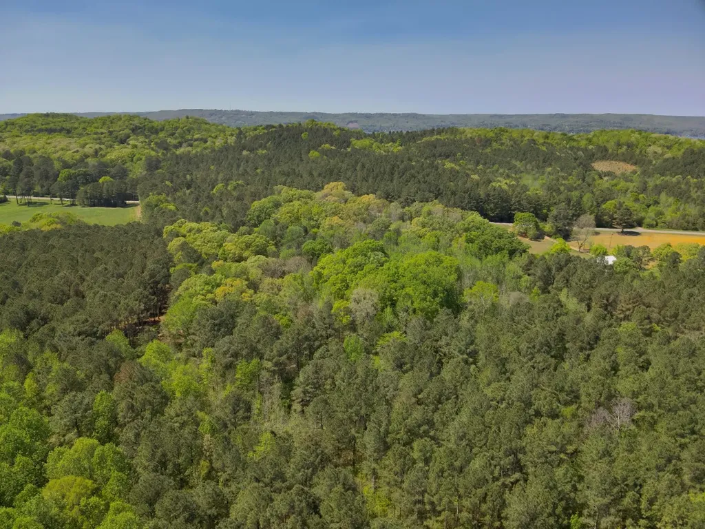 0 South Sauty Road County Road Guntersville AL 35755