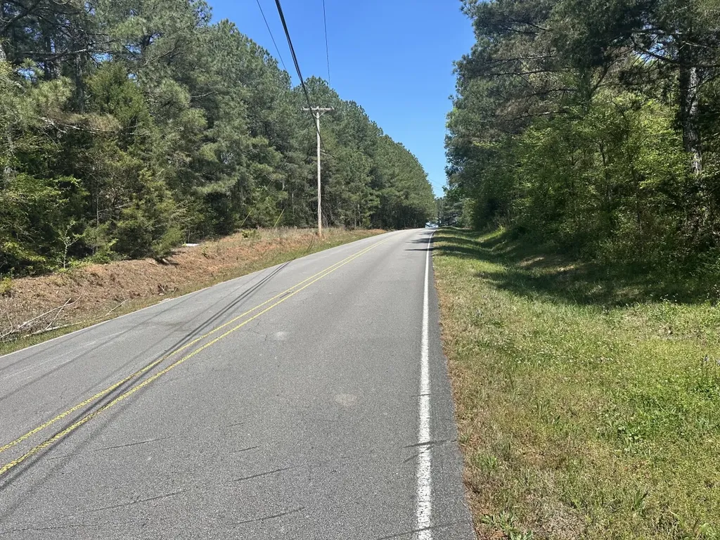 0 South Sauty Road County Road Guntersville AL 35755
