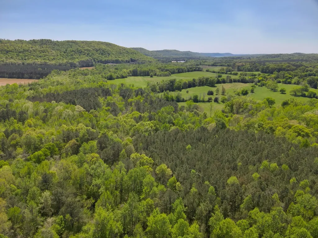 0 South Sauty Road County Road Guntersville AL 35755