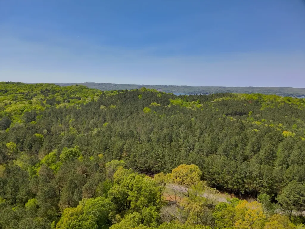 0 South Sauty Road County Road Guntersville AL 35755