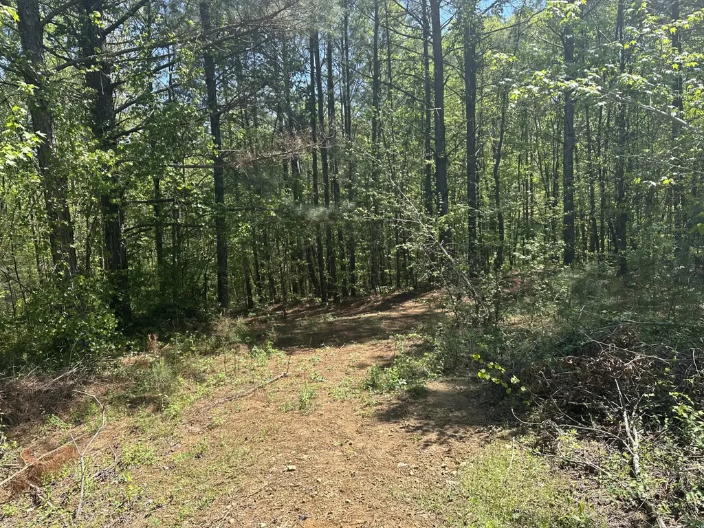 0 South Sauty Road County Road Guntersville AL 35755
