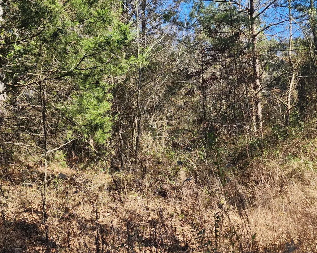 0 South Sauty Road County Road Guntersville AL 35755