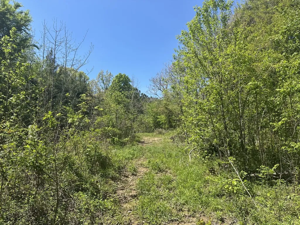 0 South Sauty Road County Road Guntersville AL 35755
