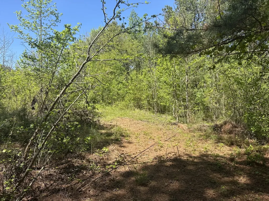 0 South Sauty Road County Road Guntersville AL 35755