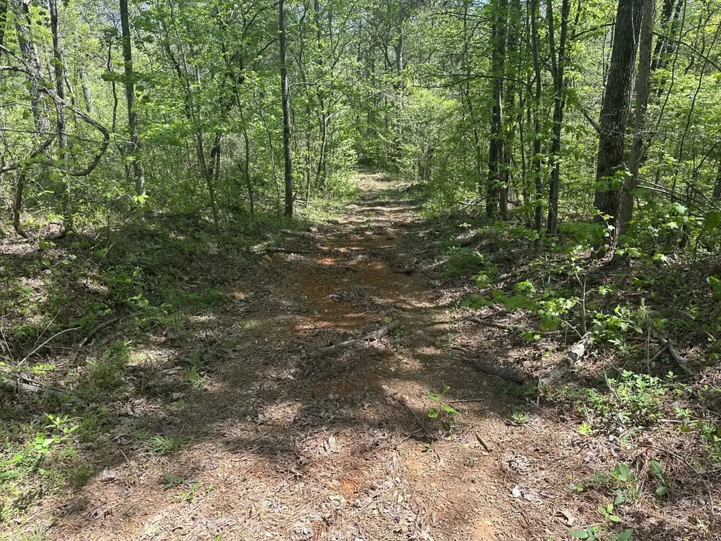 0 South Sauty Road County Road Guntersville AL 35755