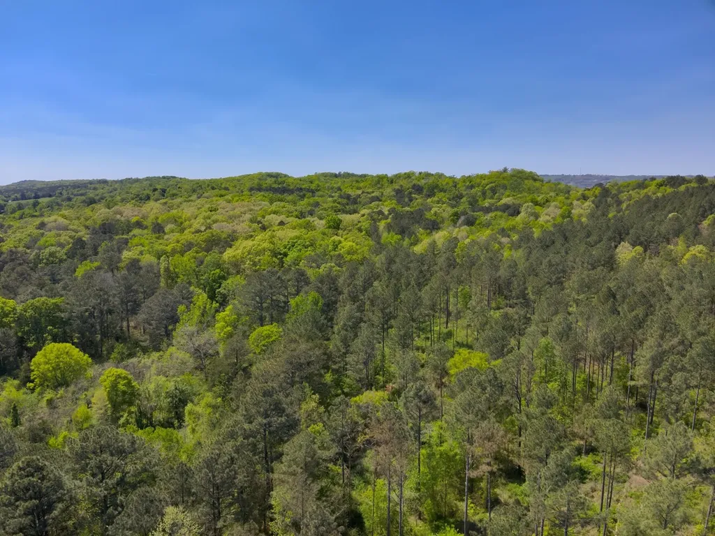0 South Sauty Road County Road Guntersville AL 35755